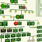 Hazrat Ali Complete Family Tree