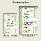🕌 Prophets Family Tree Chart